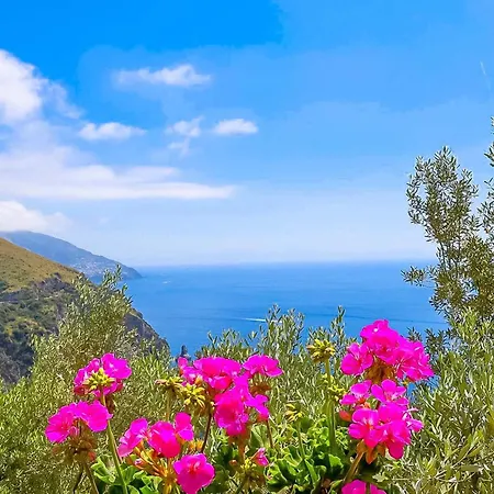 Semesterbostad - Vanessa *