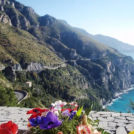 - Vanessa Holiday home