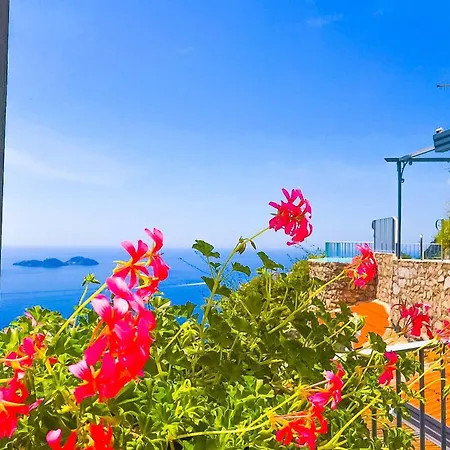 - Vanessa Nyaraló *